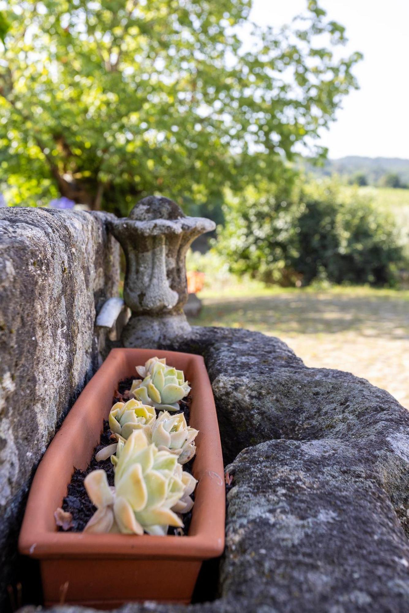 Quinta Da Comenda São Pedro do Sul Exteriör bild