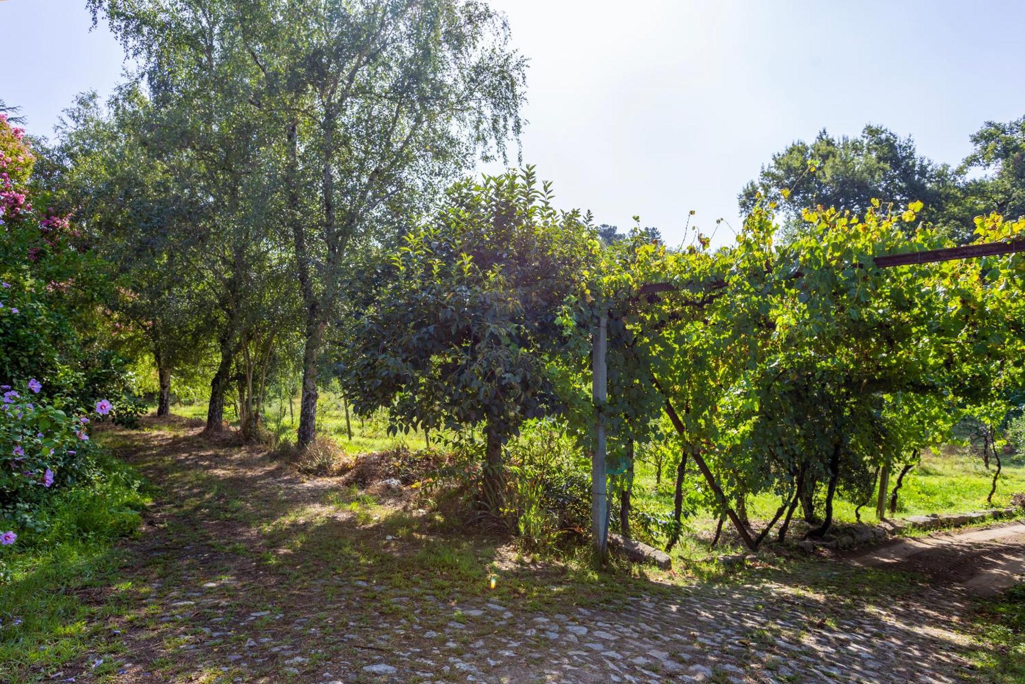 Quinta Da Comenda São Pedro do Sul Exteriör bild